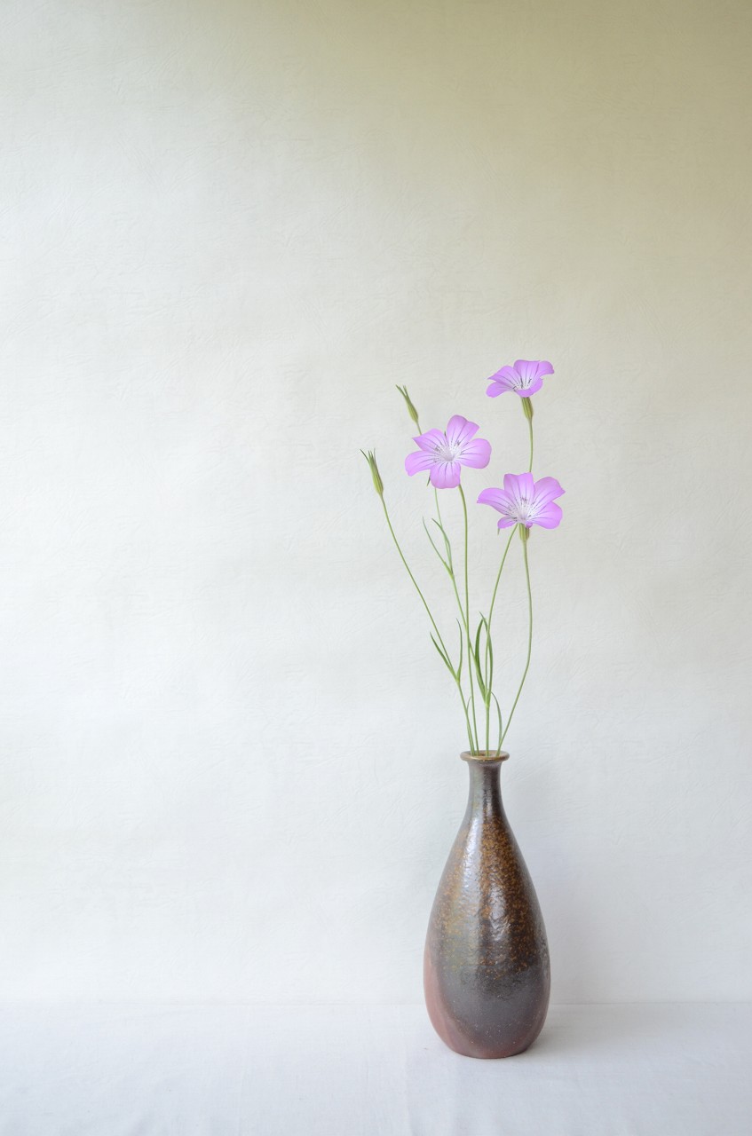 備前徳利花入　So Isezaki　－麦撫子－