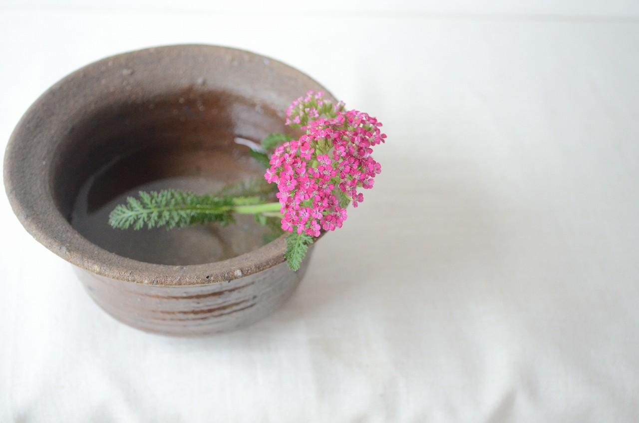 備前鉢　Yoshiteru Takariki　－鋸草－