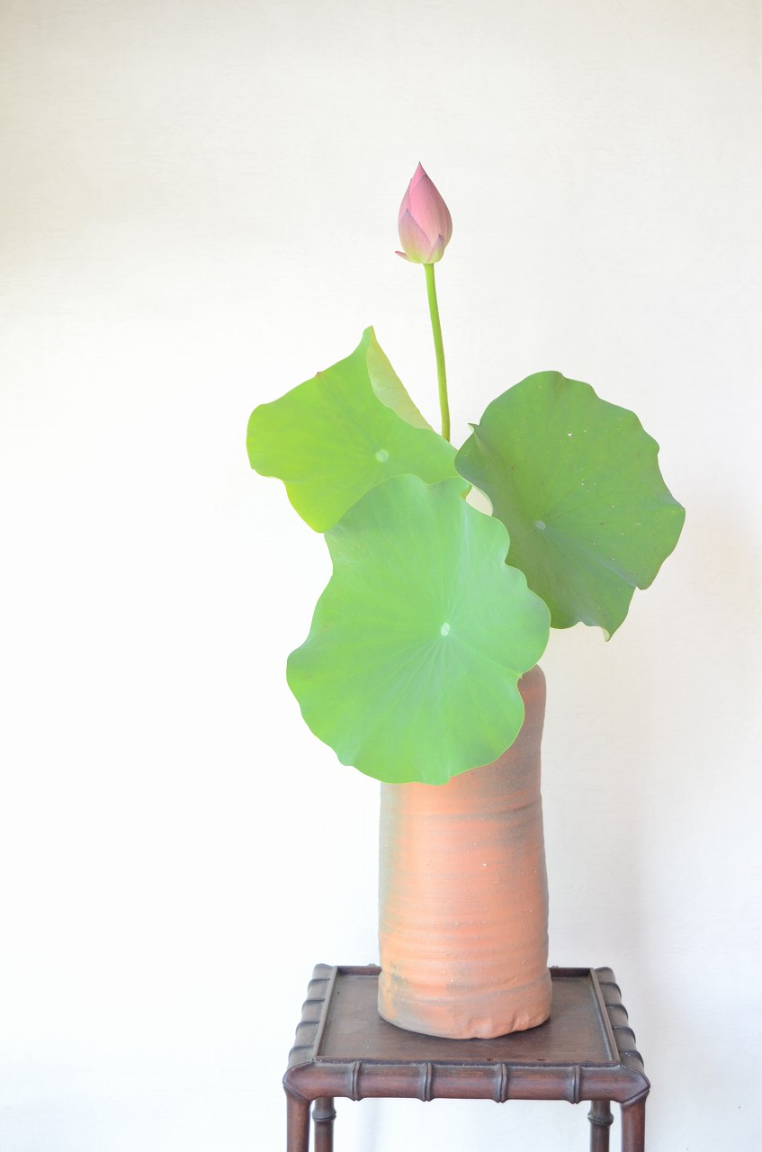 備前花入　Yoshiteru Takariki　－即非蓮－