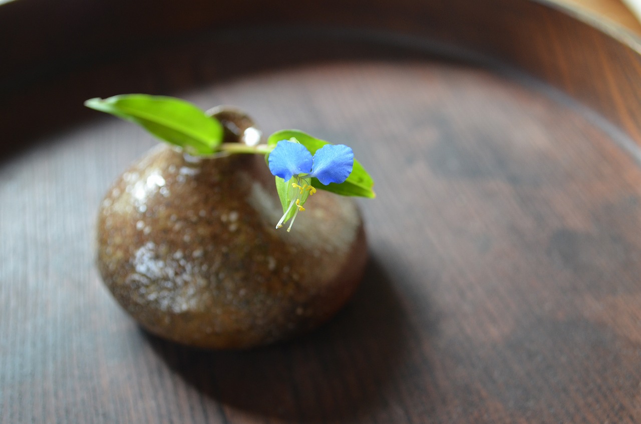 備前ちび花器　Takahiro Hosokawa　－露草－