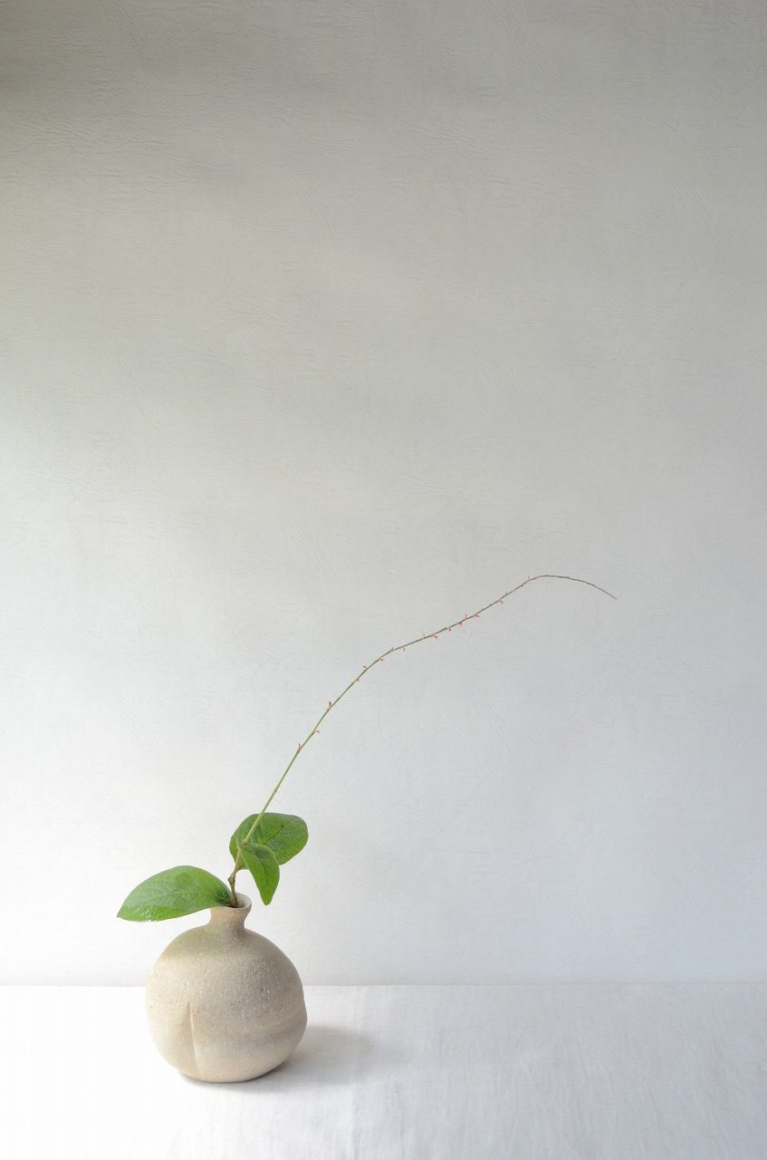 備前しらふ徳利　Takahiro Hosokawa　－水引草－