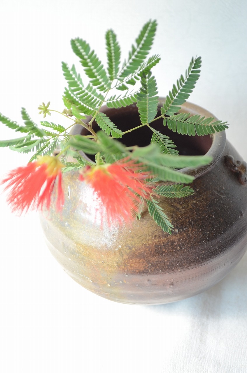 備前耳付小壺　Sin Isezaki　－緋合歓－