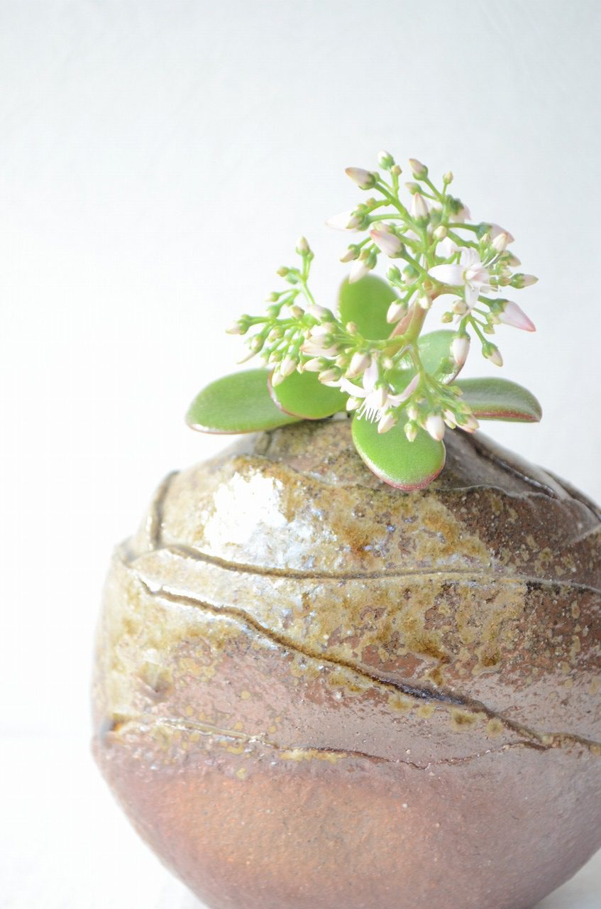 備前花入　Takuma Watanabe　－金のなる木－