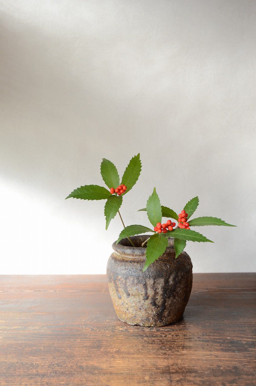 備前蹲壺　Mamoru Taku　－千両－