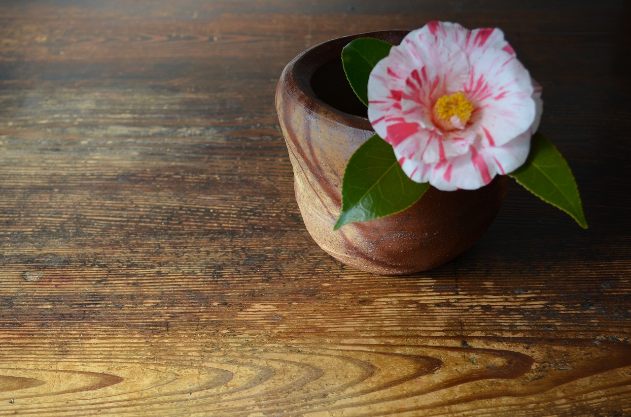 備前緋襷花器（水指ニモ）　Mamoru Taku　－蝦夷錦椿－