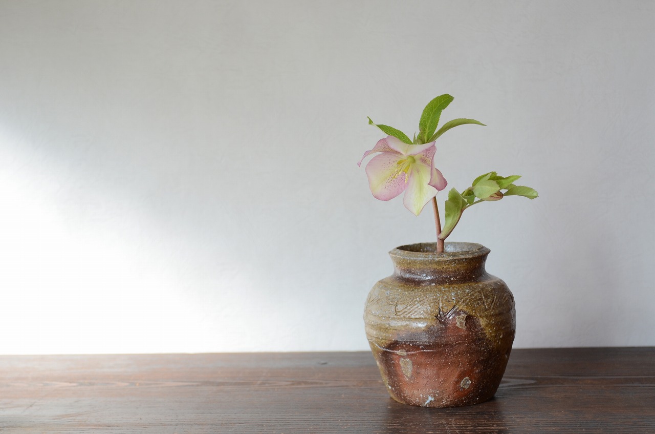 備前波状文小壺　Takahiro Hosokawa　－クリスマスローズ－