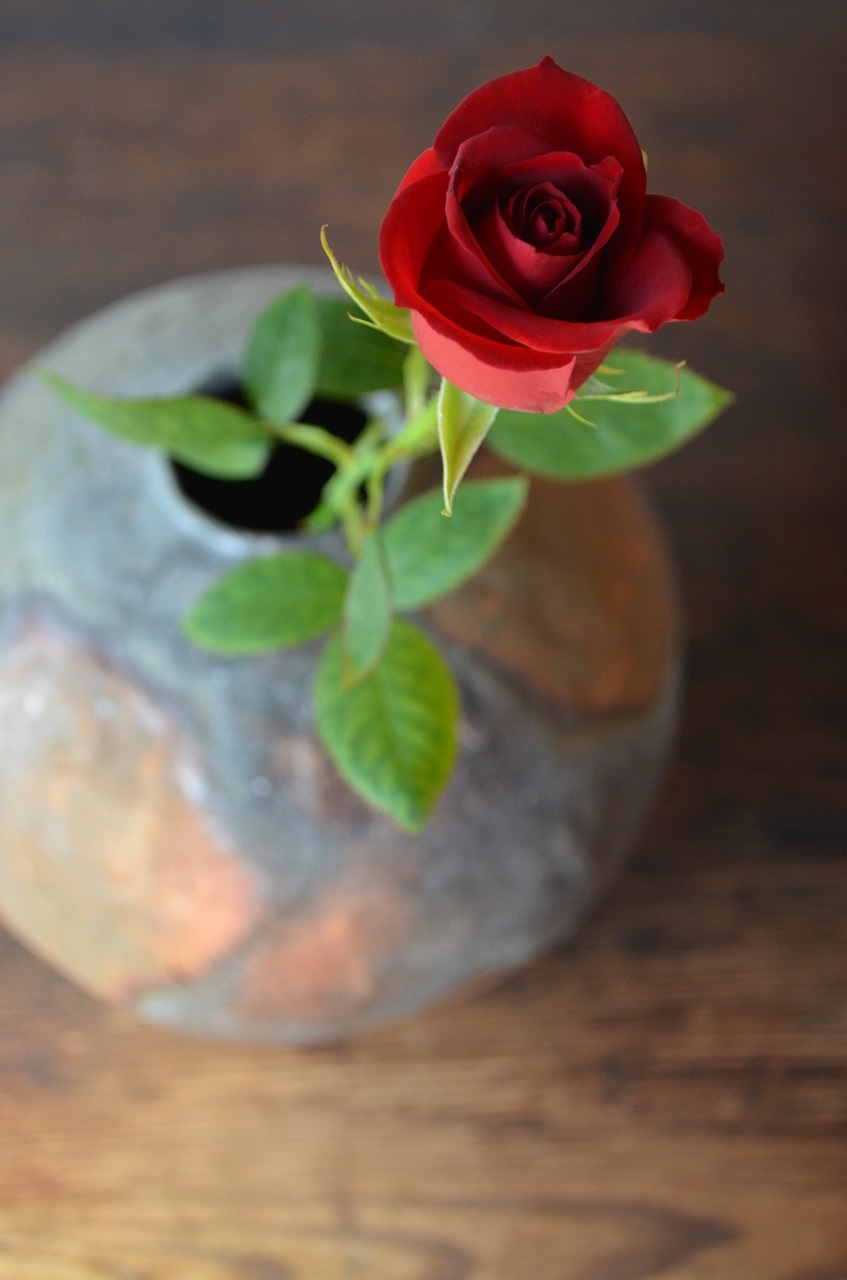 備前窯変壺 Naoki Yokoyama ー薔薇ー