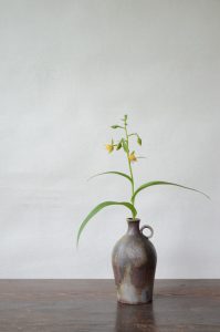 備前花入　QuietHouse　－柿蘭－