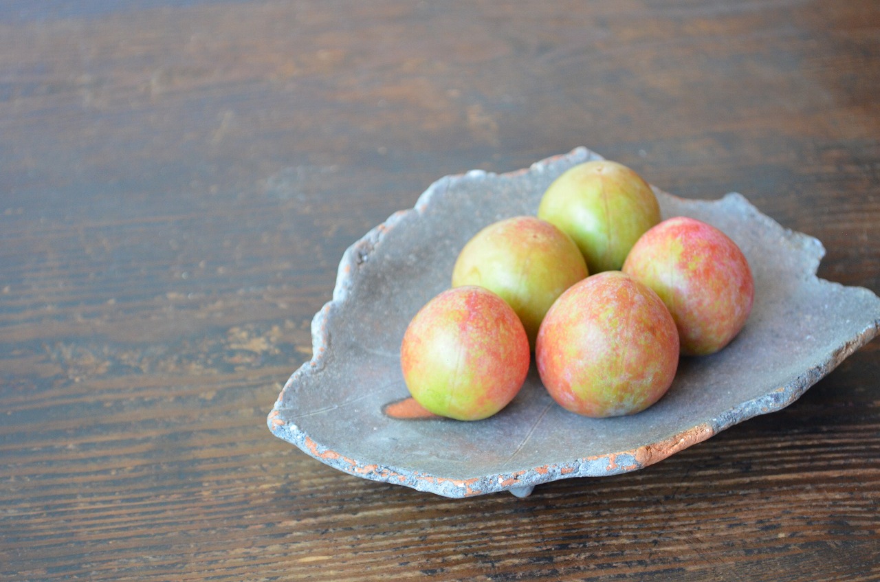 備前葉皿　Takahiro Hosokawa　－すもも－