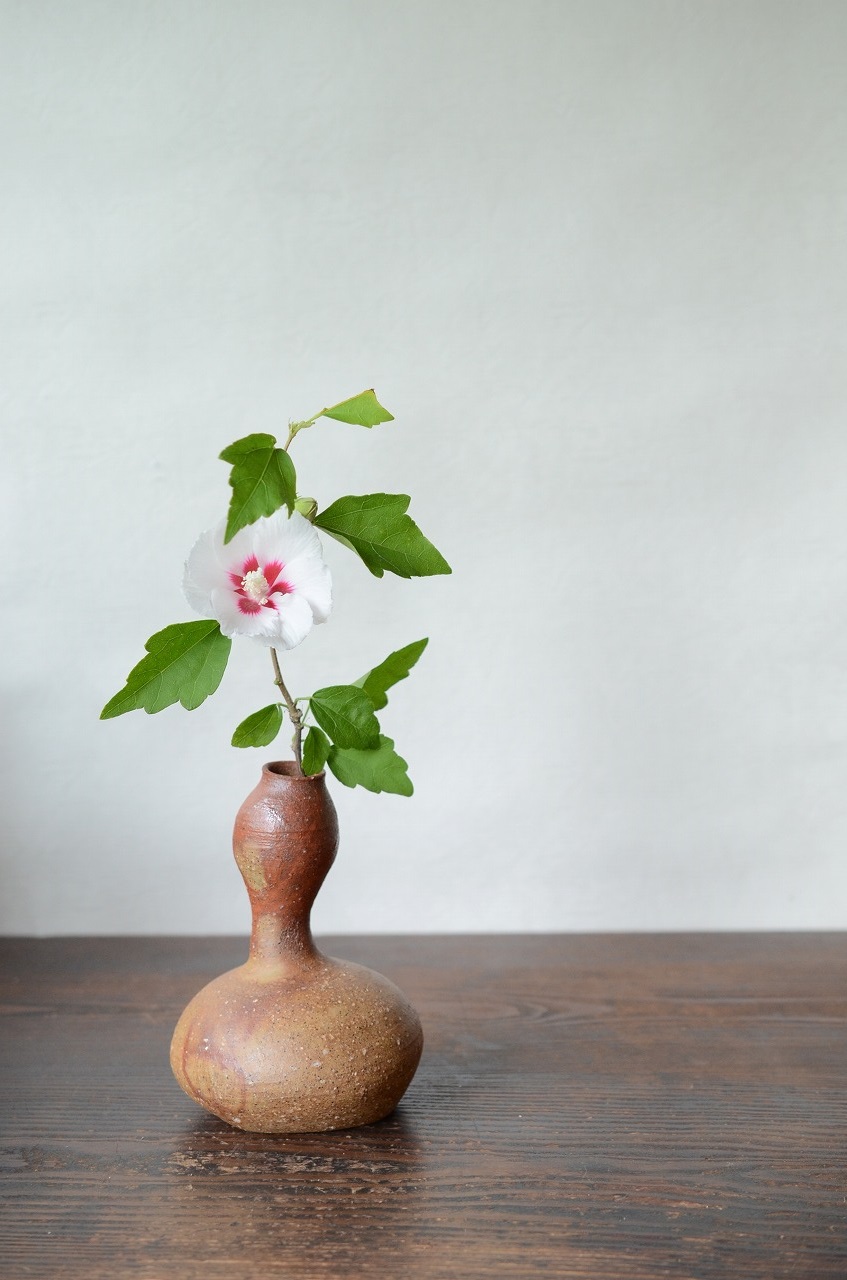 備前火襷瓢花入　Takahiro Hosokawa　－宗旦木槿－