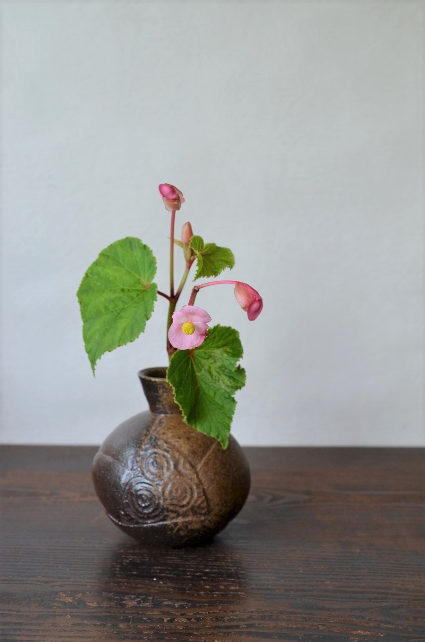 備前花入　Takuma Watanabe　－秋海棠－