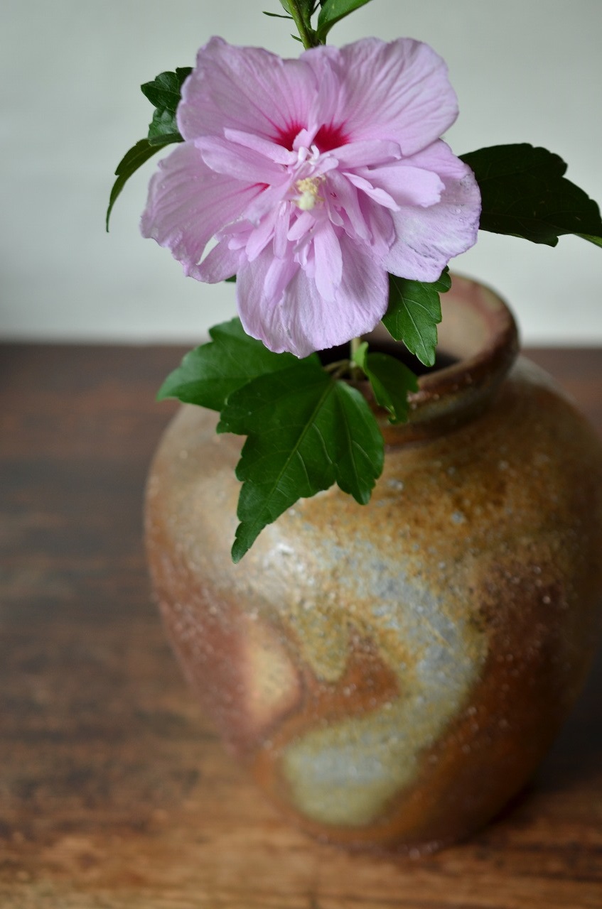 備前壺　Mamoru Taku　－紫玉木槿－