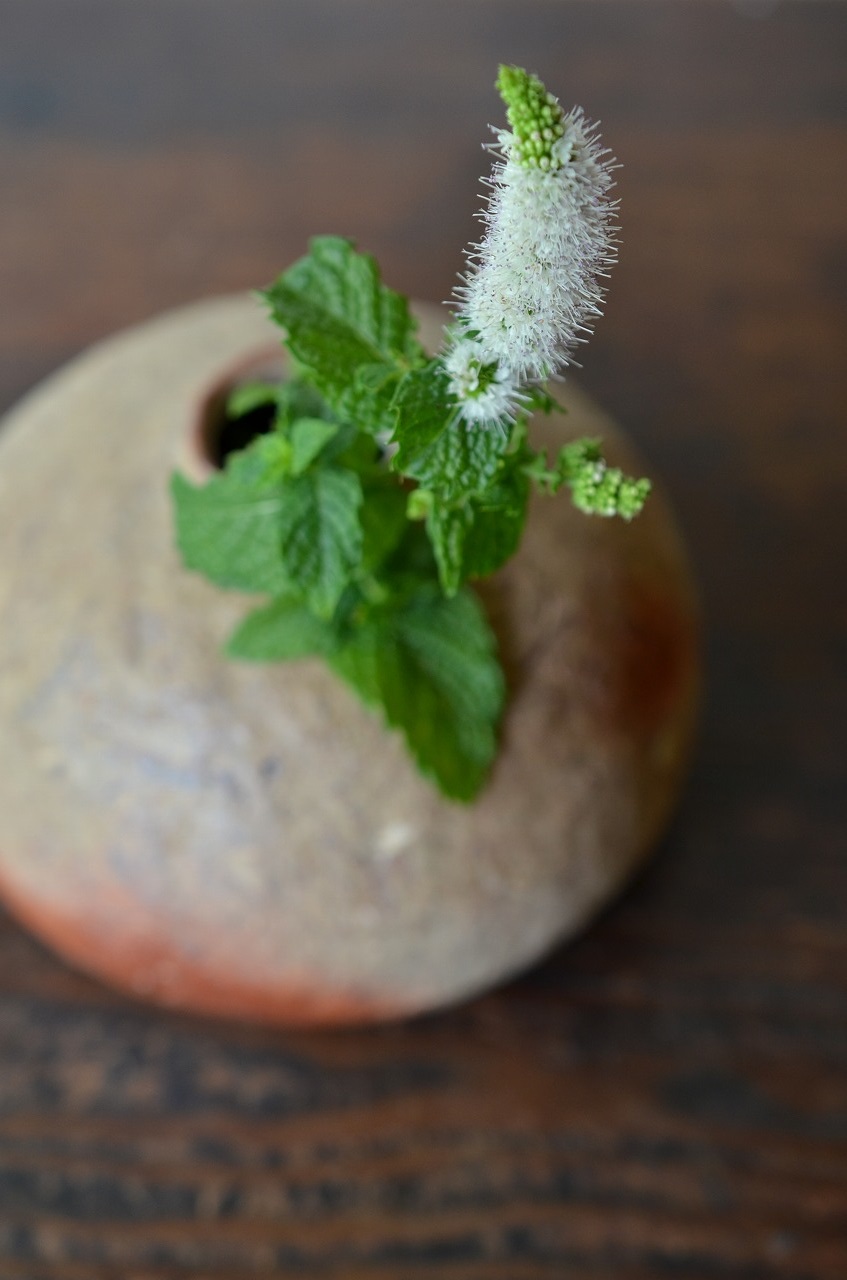 備前自然練込小壺　Naoki Yokoyama　－ミント－