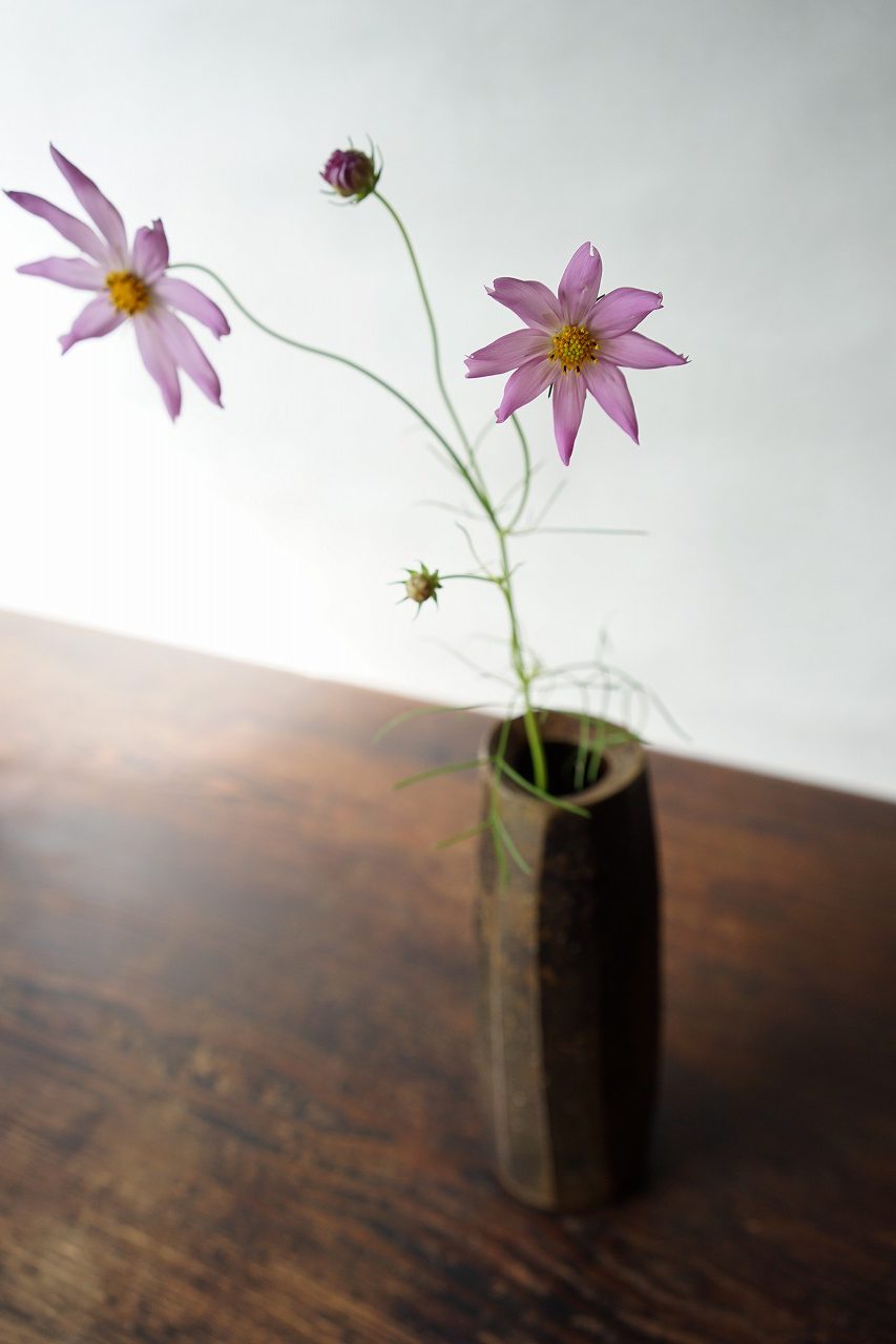 備前面取筒花入　So Isezaki　－秋桜－