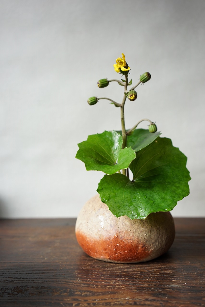 備前自然練込小壺　Naoki Yokoyama　－石蕗－