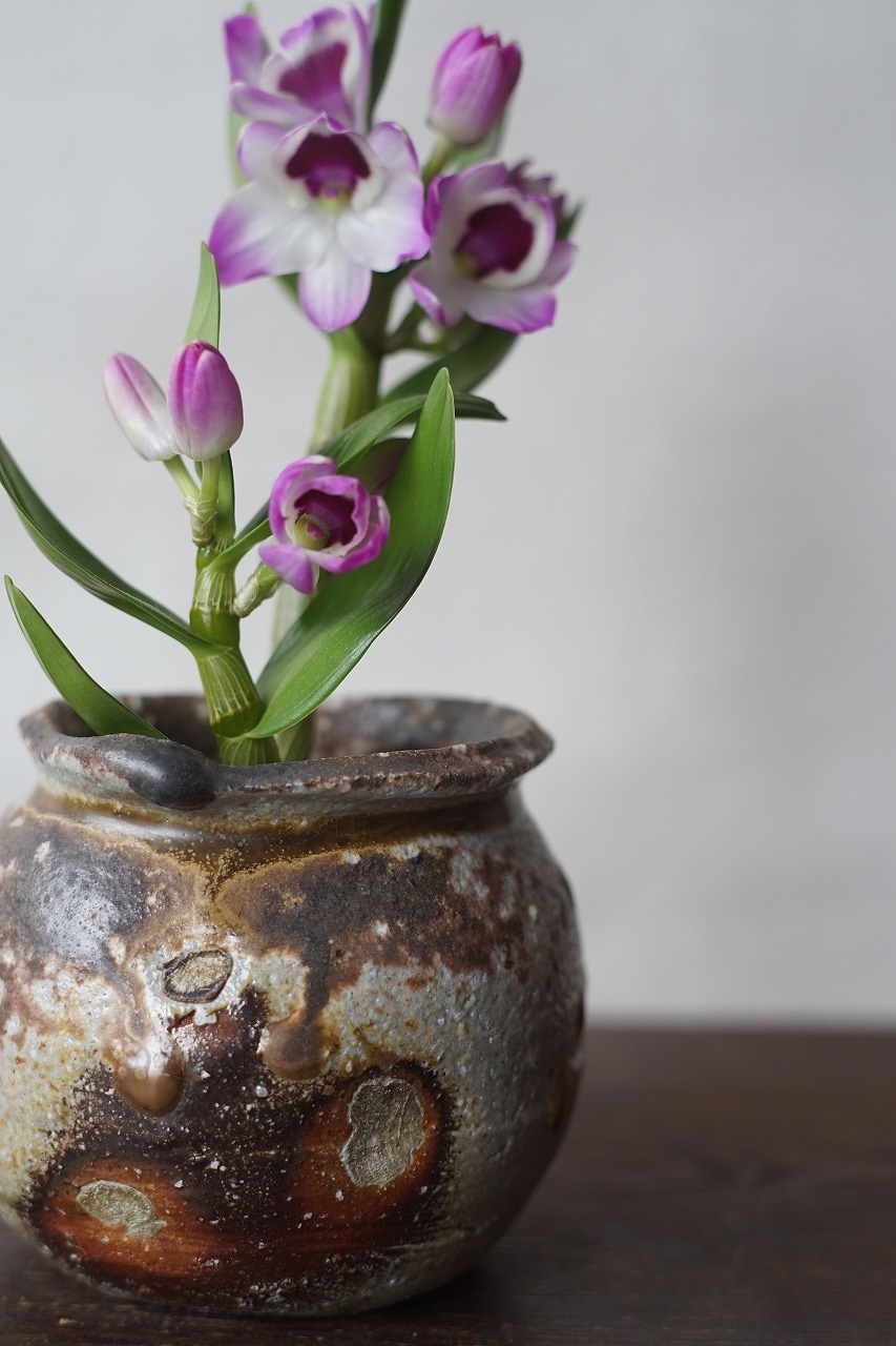 備前灰被り小壺　Takahiro Hosokawa　ーデンドロビュームー