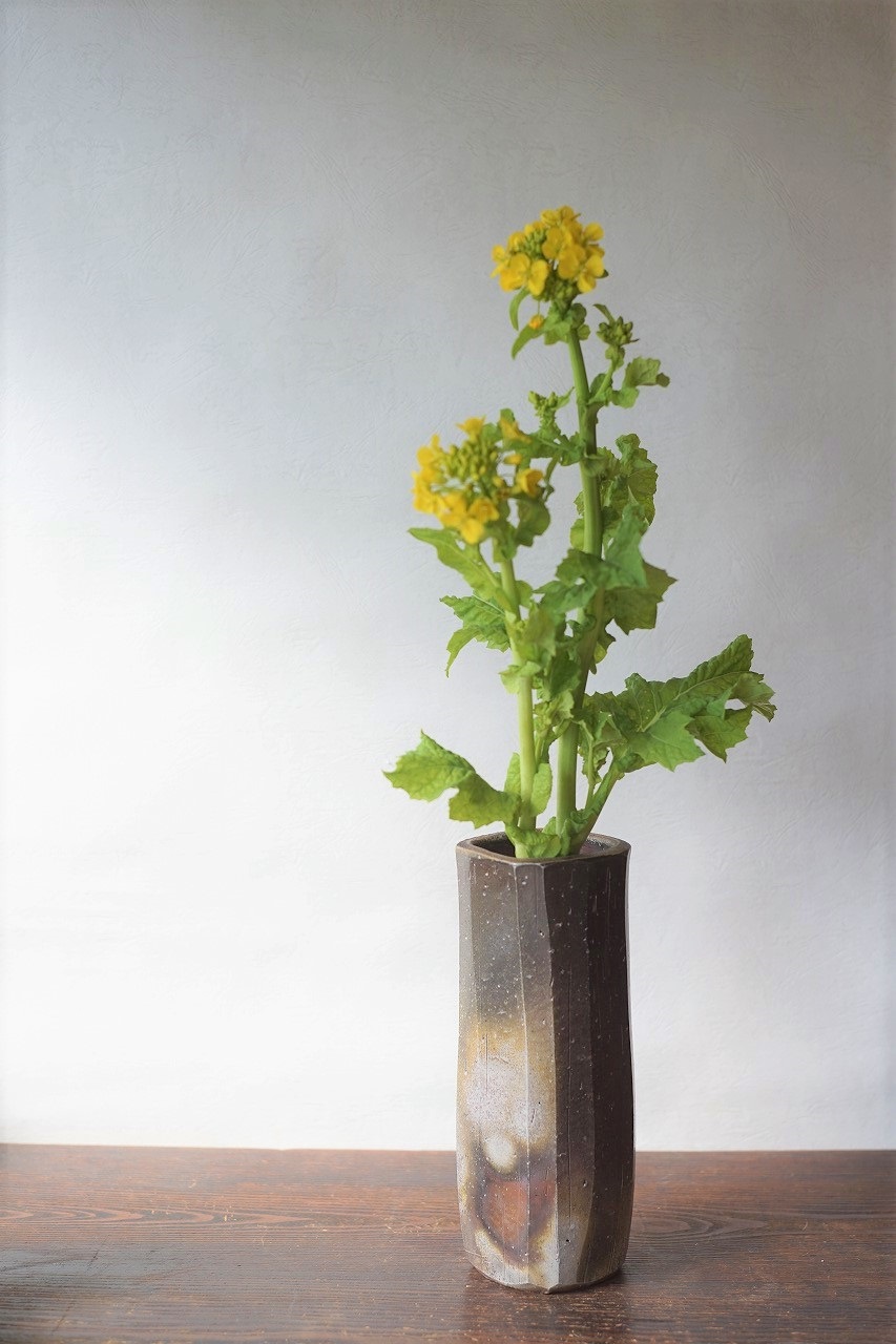 備前面取四方花入　Sin Isezaki　－菜の花－