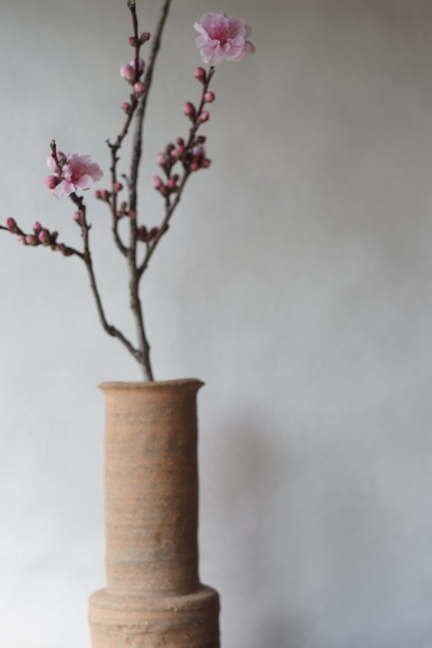 備前しらふ砧花入　Takahiro Hosokawa　－花桃－