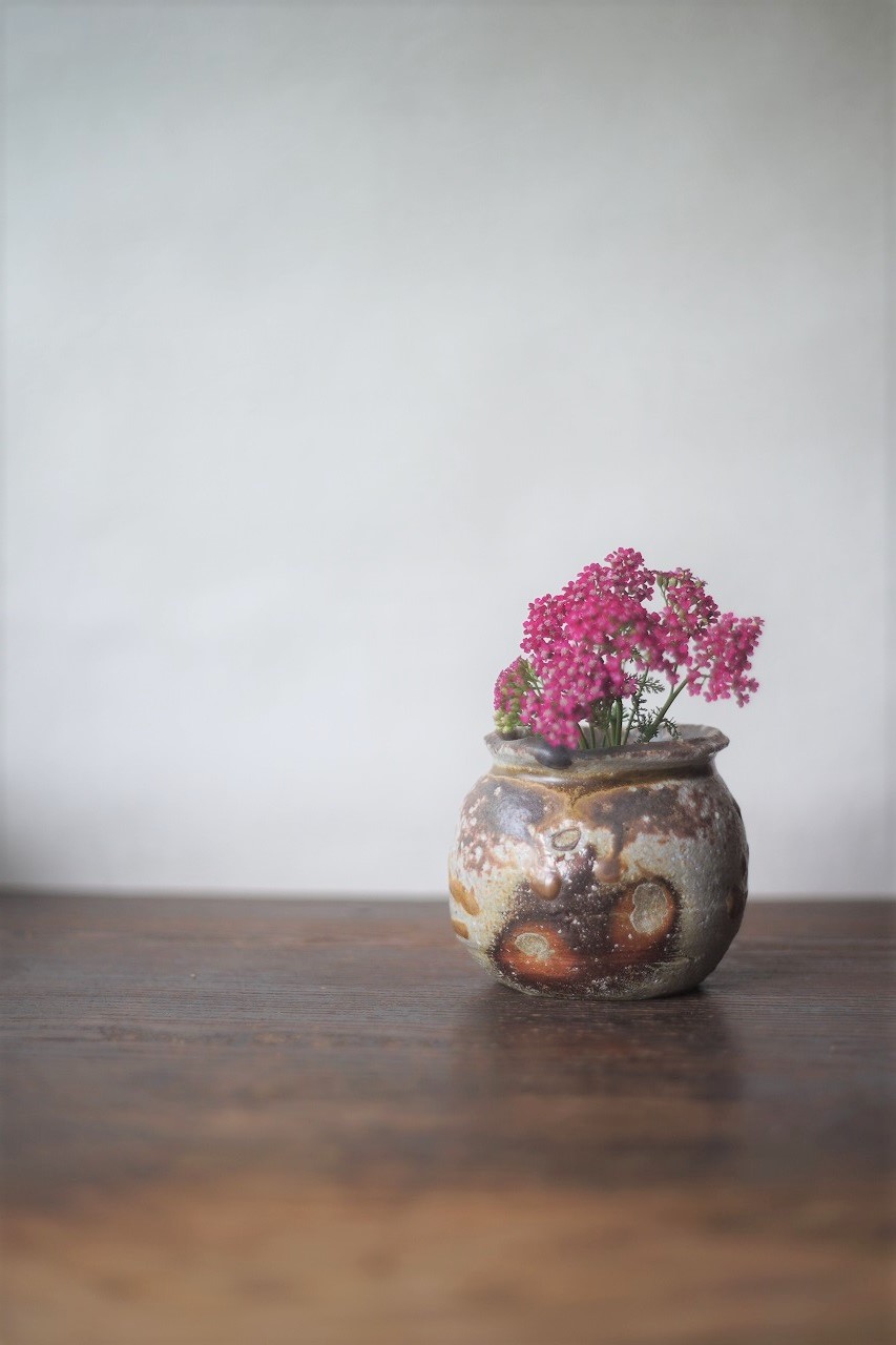 備前灰被り小壺　Takahiro Hosokawa　－鋸草－