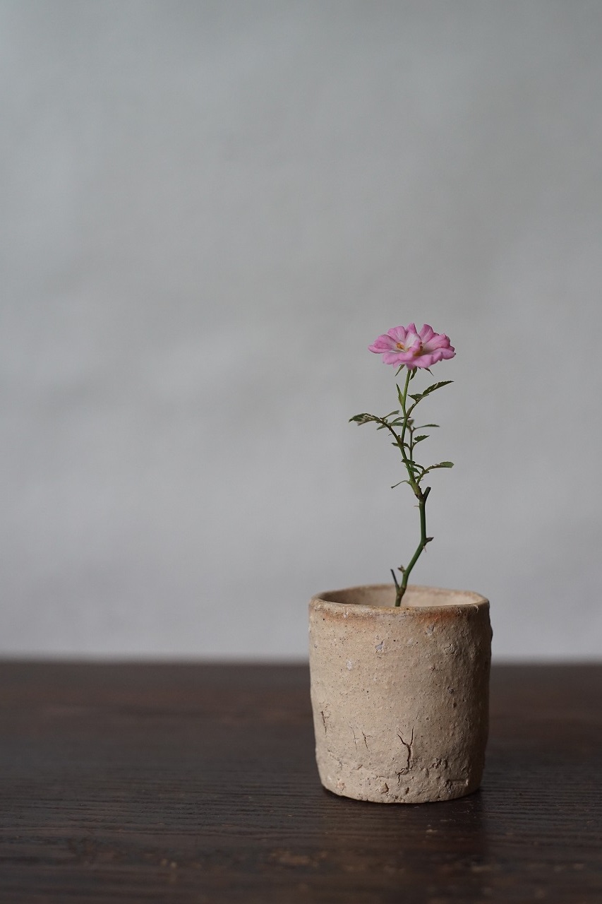 備前しらふぐい呑　Takahiro Hosokawa　－ミニ薔薇－