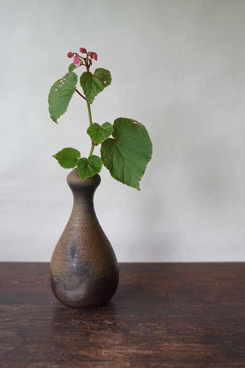 備前瓢花入　Sin Isezaki　－秋海棠－