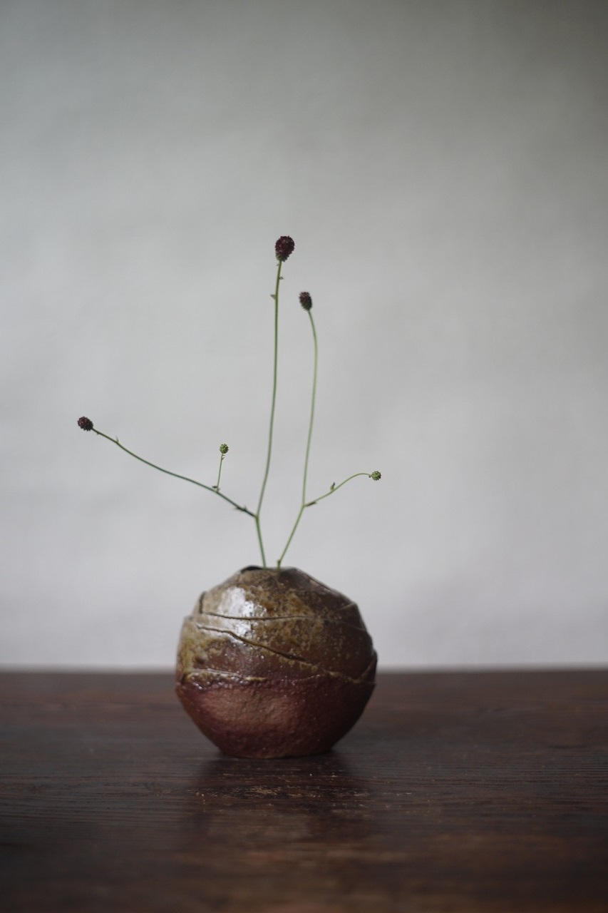 備前花器　Takuma Watabane　ー吾亦紅ー