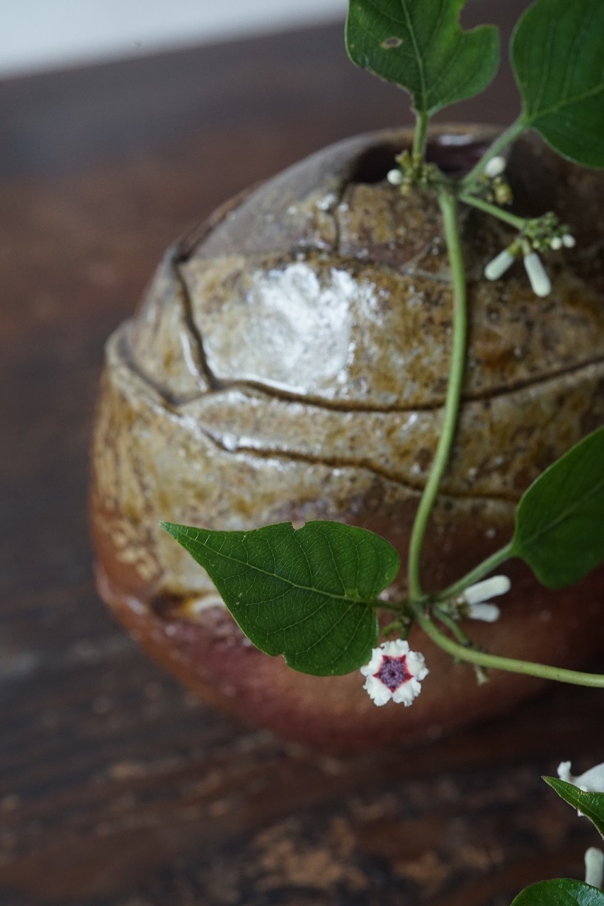 備前花器　Takuma Watabane　ー屁糞葛ー