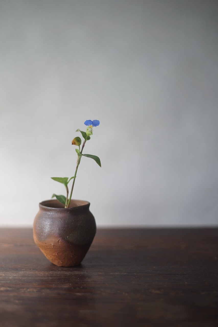 備前小壺　Yoshiteru Takariki　－露草－
