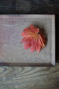 備前長方角皿　Masahiko Kondou　－紅葉－