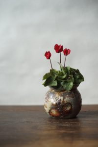 備前灰被り小壺　Takahiro Hosokawa　ーシクラメンー