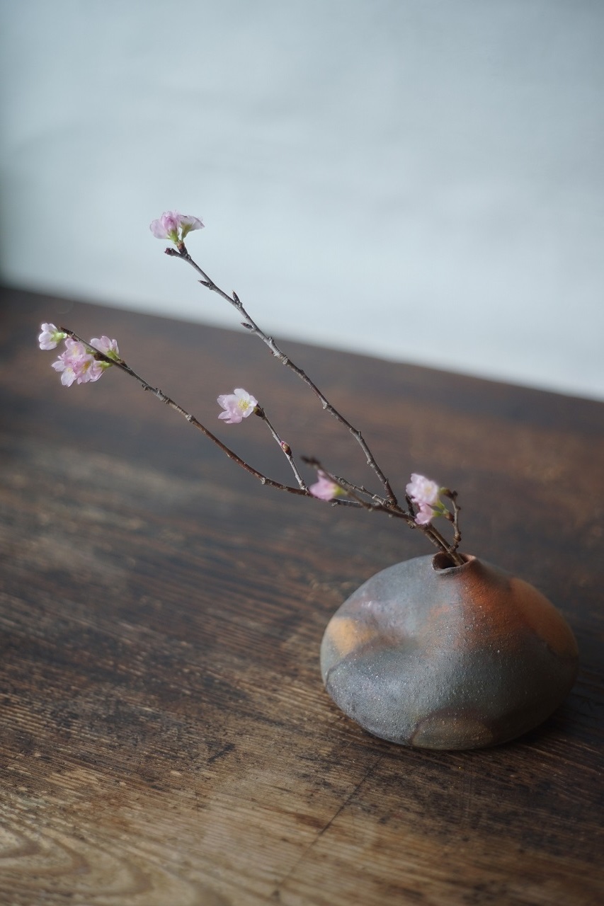 備前平花入　Takahiro Hosokawa　－啓翁桜－