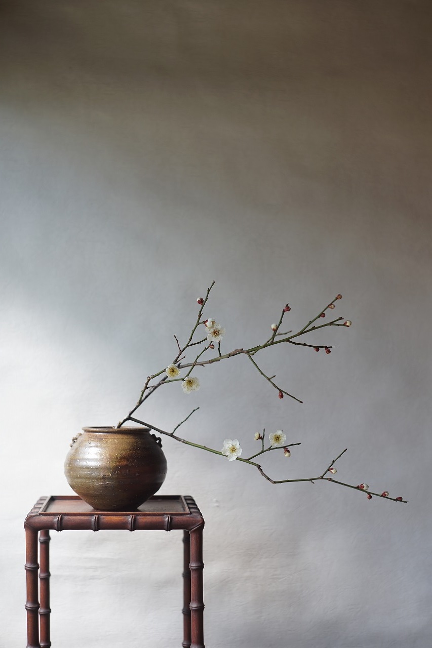 備前耳付小壺　Sin Isezaki　－梅－