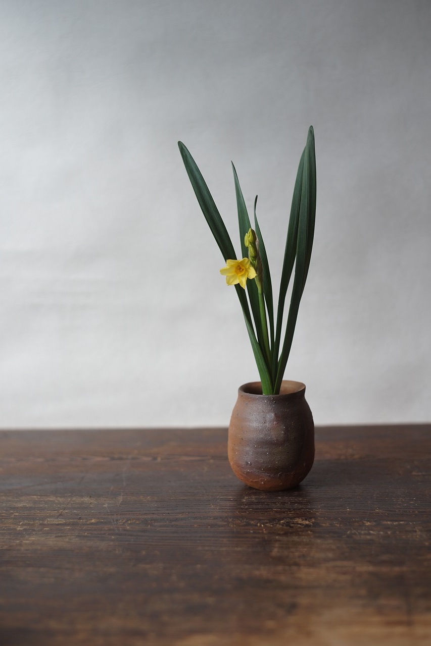 備前小壺　Yoshiteru Takariki　－水仙－