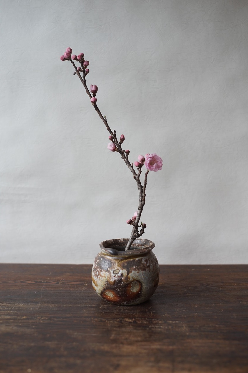 備前灰被り小壺　Takahiro Hosokawa　－八重花桃－
