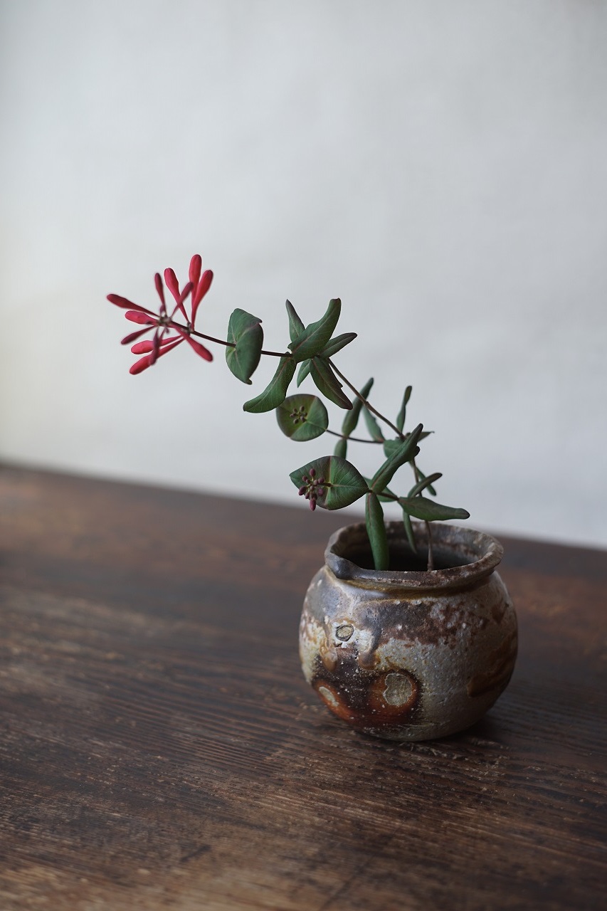 備前灰被り小壺　Takahiro Hosokawa　－突抜忍冬－