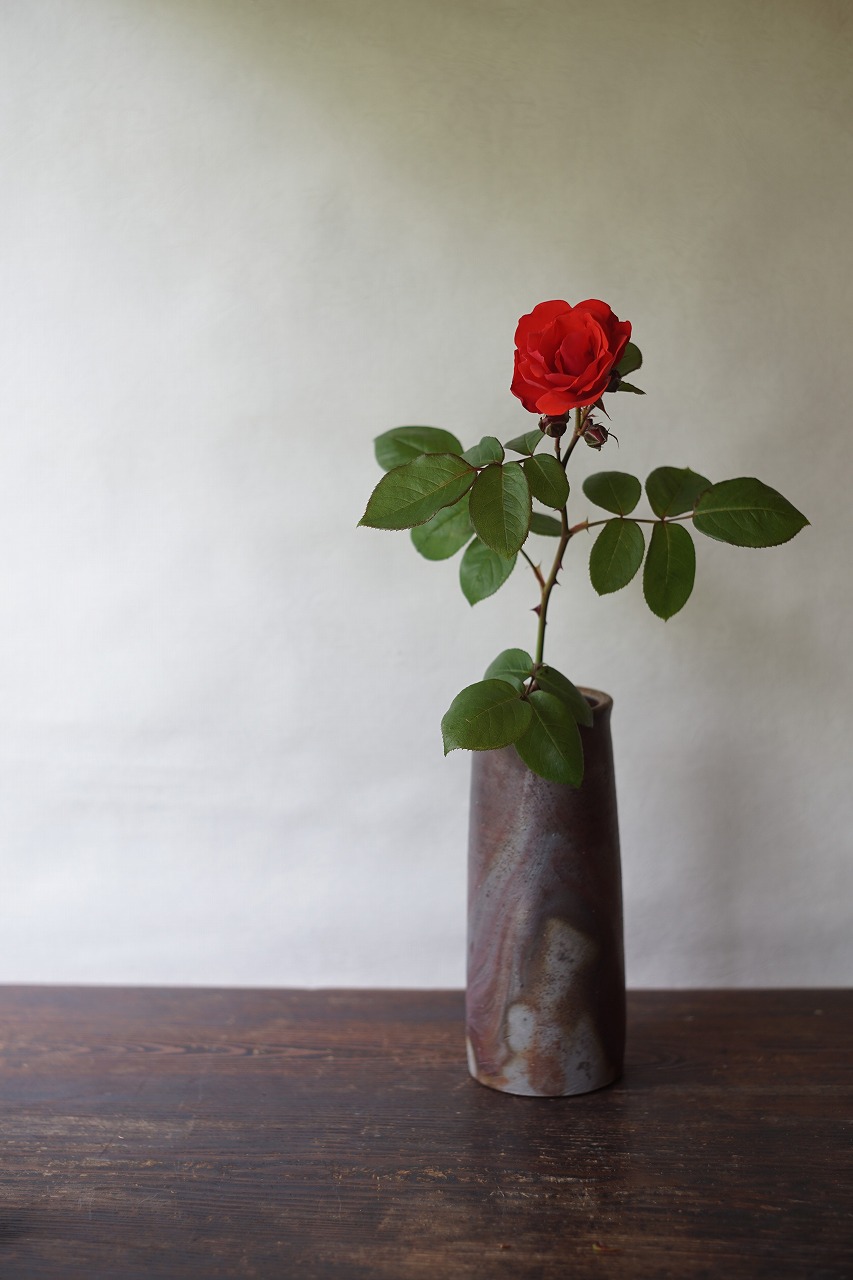 備前寸胴花入　So Isezaki　－蔓薔薇－