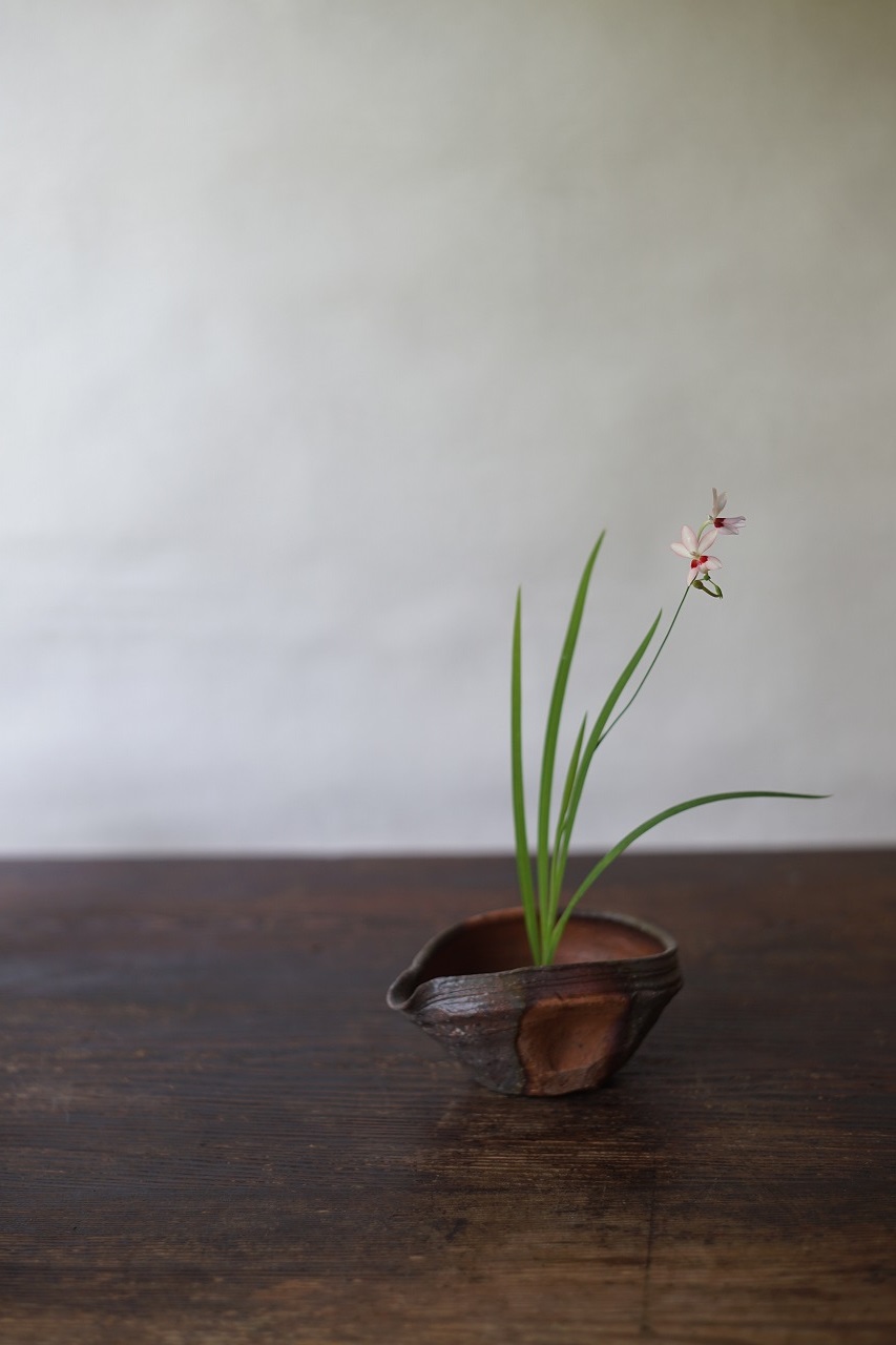 備前窯変片口　Naoki Yokoyama　－姫檜扇－