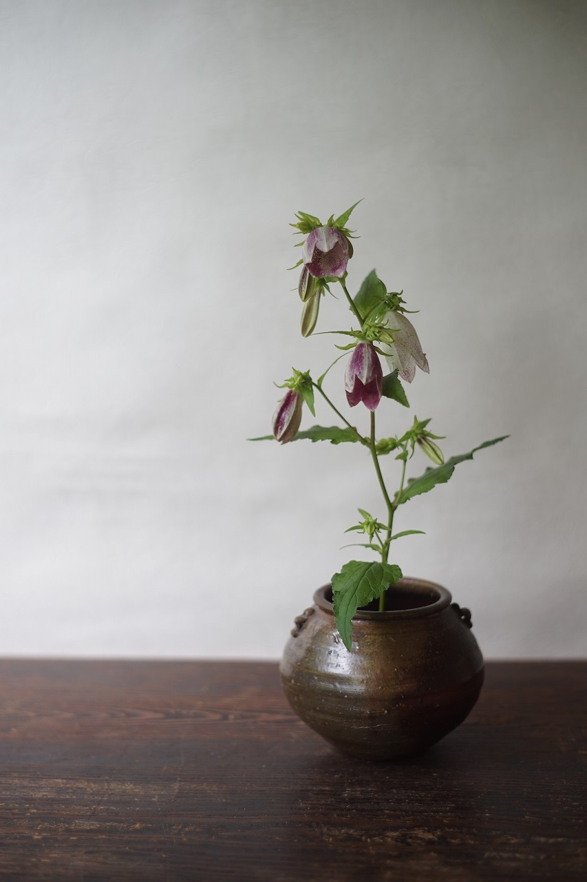 備前耳付小壺　Sin Isezaki　－蛍袋－