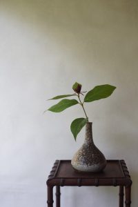 備前細口花入　Takahiro Hosokawa　ー紺蝋梅ー