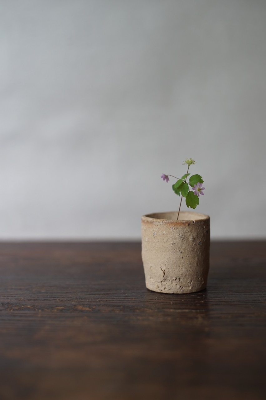 備前しらふぐい呑　Takahiro Hosokawa　－バイカカラマツ－