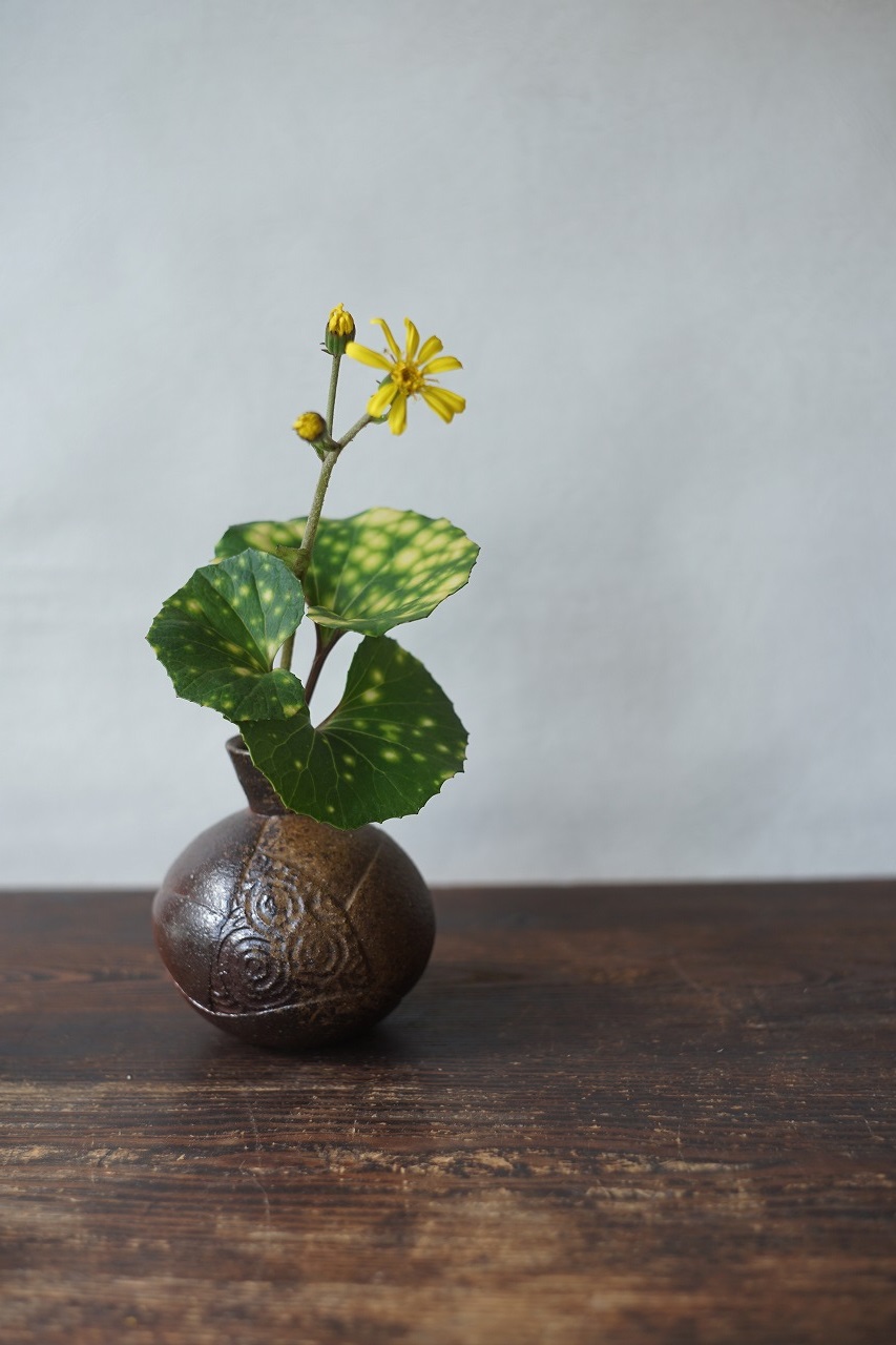 備前花入　Takuma Watanabe　ー石蕗ー