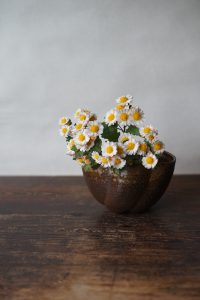 備前花器　Takuma Watanabe　ー菊ー