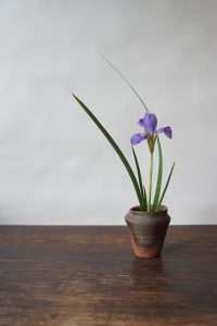 備前小壺　Yoshiteru Takariki　ー寒あやめー