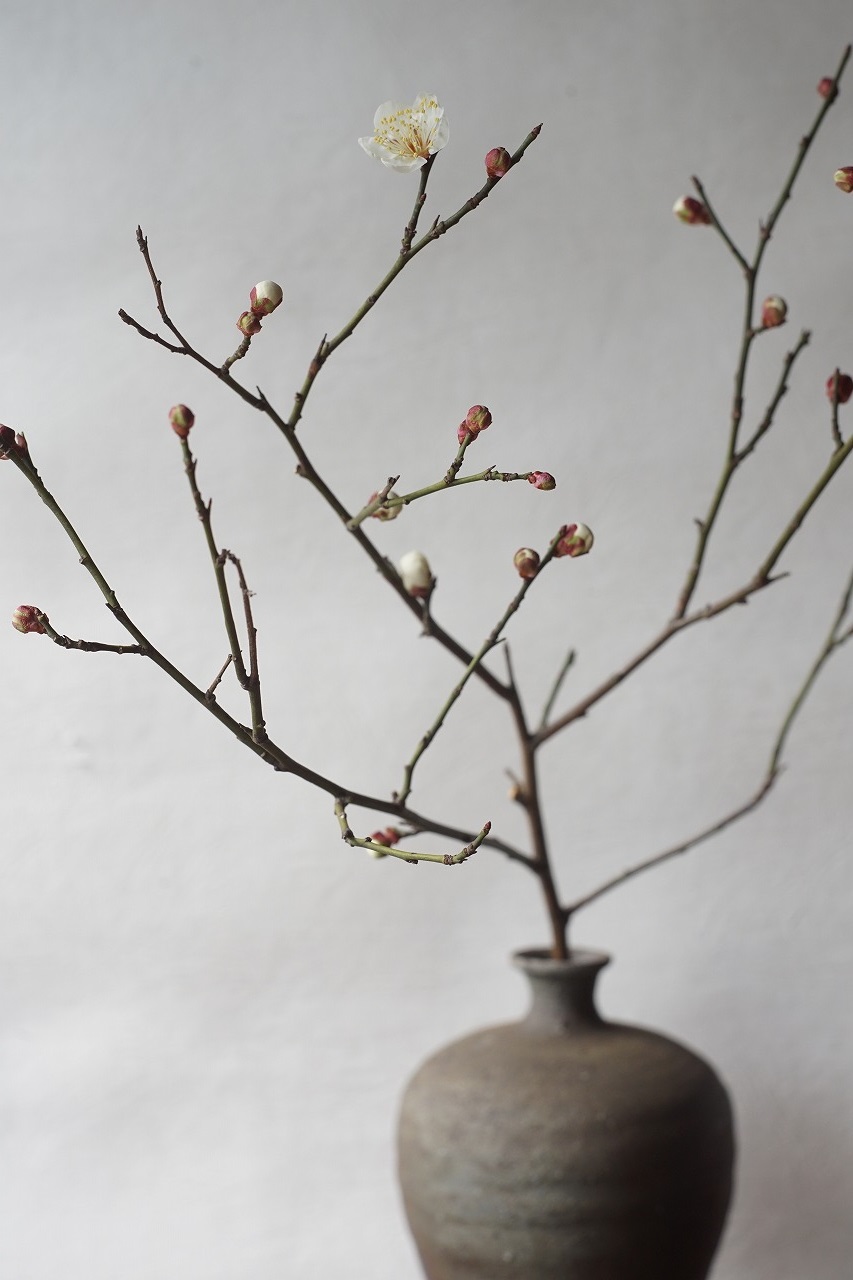 伊部瓶子　Gousuke Yashiro　ー梅ー