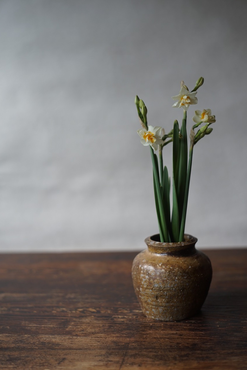 小壺　Takahiro Hosokawa　ー八重水仙ー