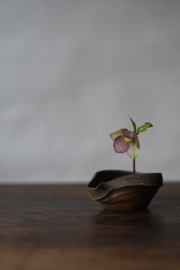 備前片口小鉢　Takahiro Hosokawa　ークリスマスローズー