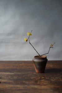 備前小壺　Yoshiteru Takariki　ー蝋梅ー