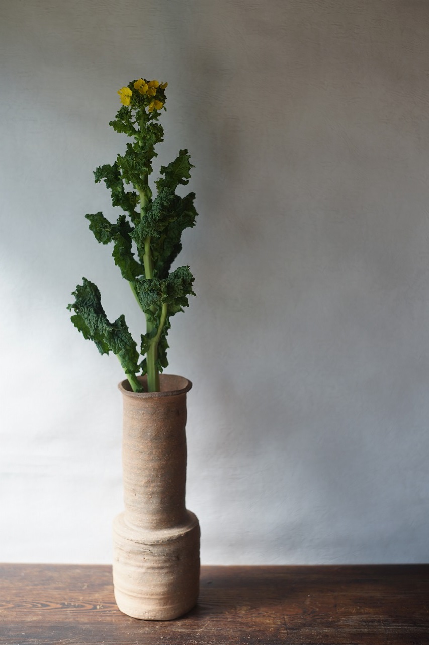 備前しらふ砧花入　Takahiro Hosokawa　ー菜の花ー