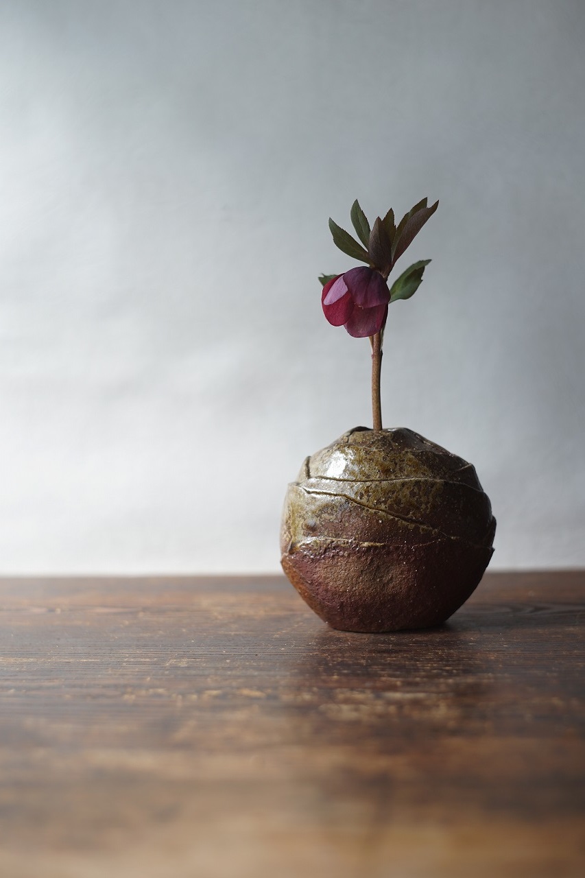 備前花入　Takuma Watanabe　ークリスマスローズー