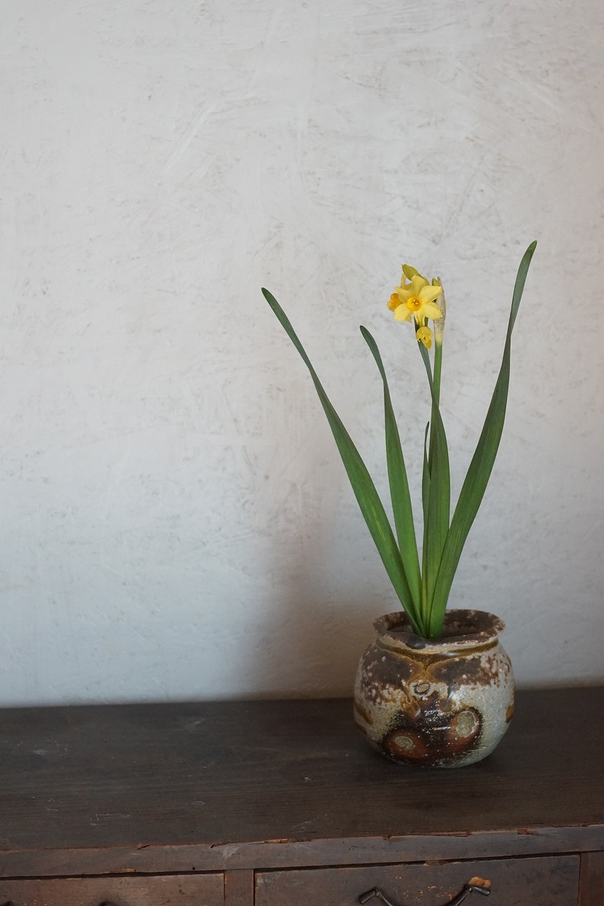 備前灰被り小壺　Takahiro Hosokawa　ー黄水仙ー